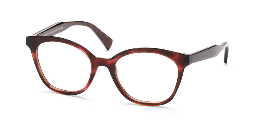 PURPLE HAVANA / BROWN