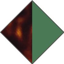 BROWN HAVANA / GREEN