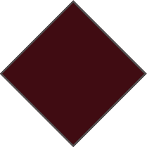 BURGUNDY - PHOTOCHROMIC ORANGE LENS